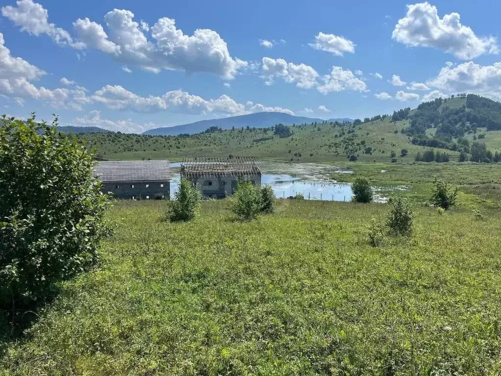 Участок в Алтайский край, Алтайский район, Айский сельсовет, с. Ая  ... - Фото 1