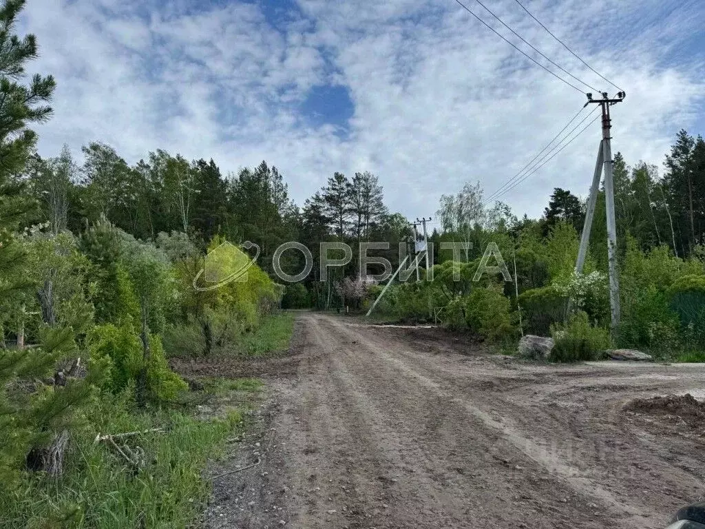 Участок в Тюменская область, Нижнетавдинский район, Геолог-2 СНТ  ... - Фото 1