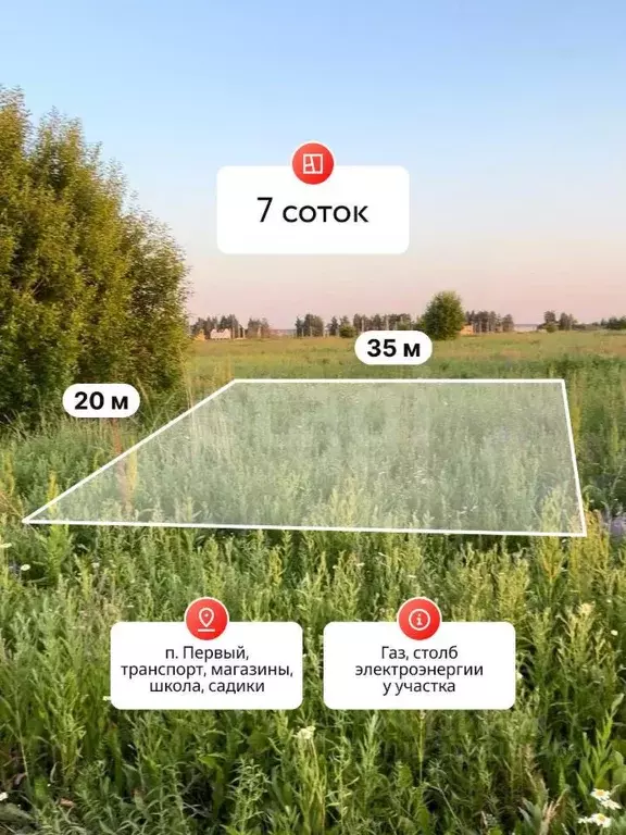 Участок в Костромская область, Кострома Соколиное Гнездо кп, 1 (7.0 ... - Фото 2