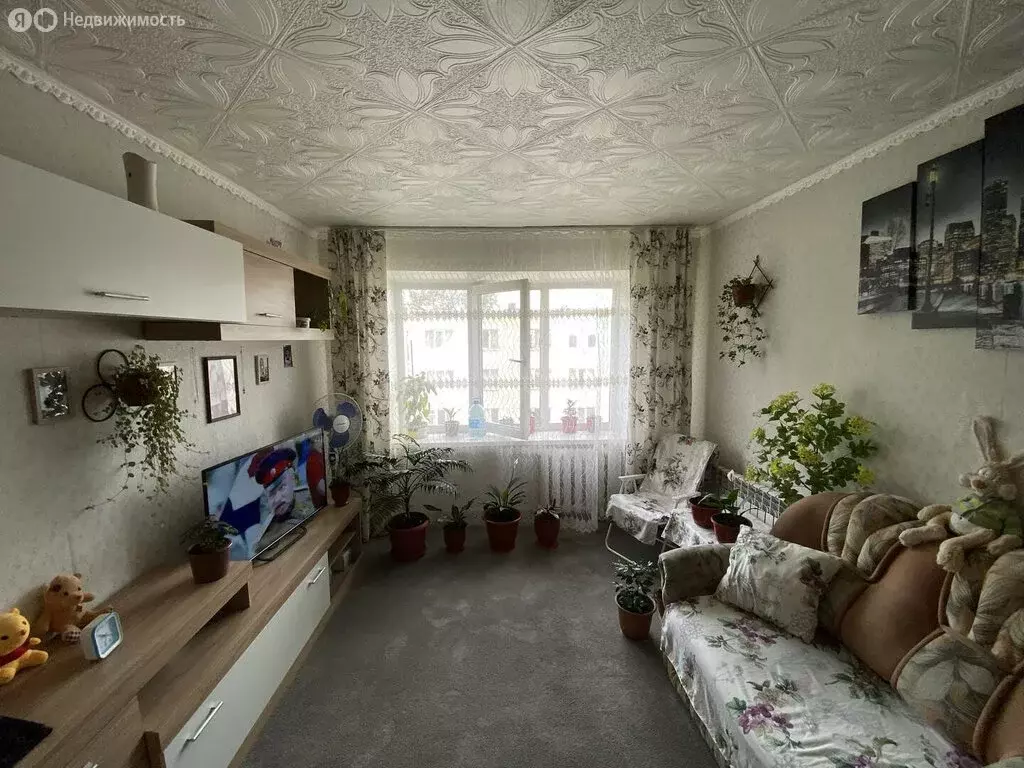 1к в 10-комнатной квартире (18.1 м) - Фото 1