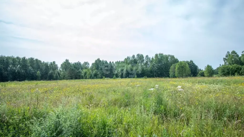 Участок в Томская область, Томский район, с. Кафтанчиково ул. ... - Фото 1