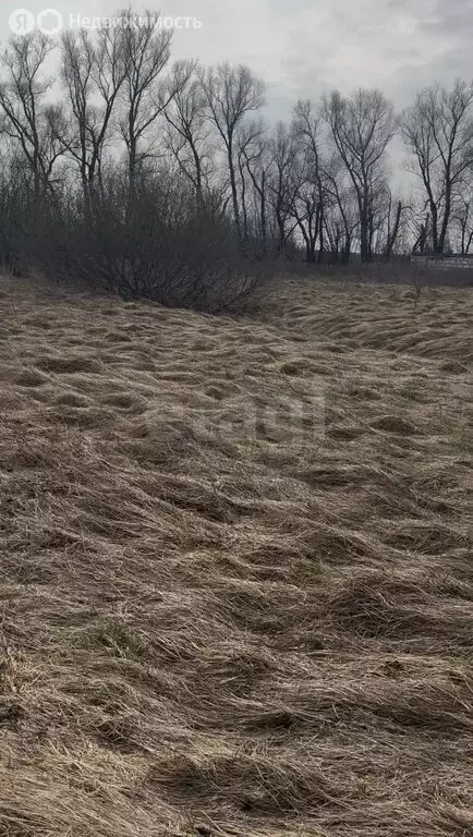 Участок в Калининградская область, Зеленоградский муниципальный округ, ... - Фото 1