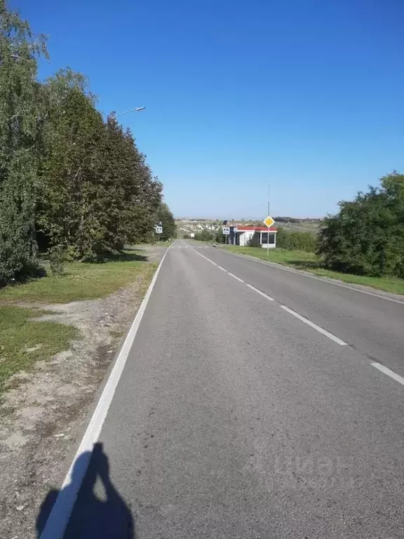 Участок в Белгородская область, Белгородский район, Новосадовское ... - Фото 1