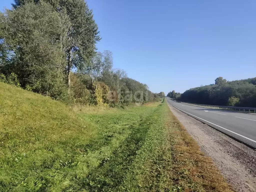 Участок в Смоленская область, Смоленский муниципальный округ, ... - Фото 1