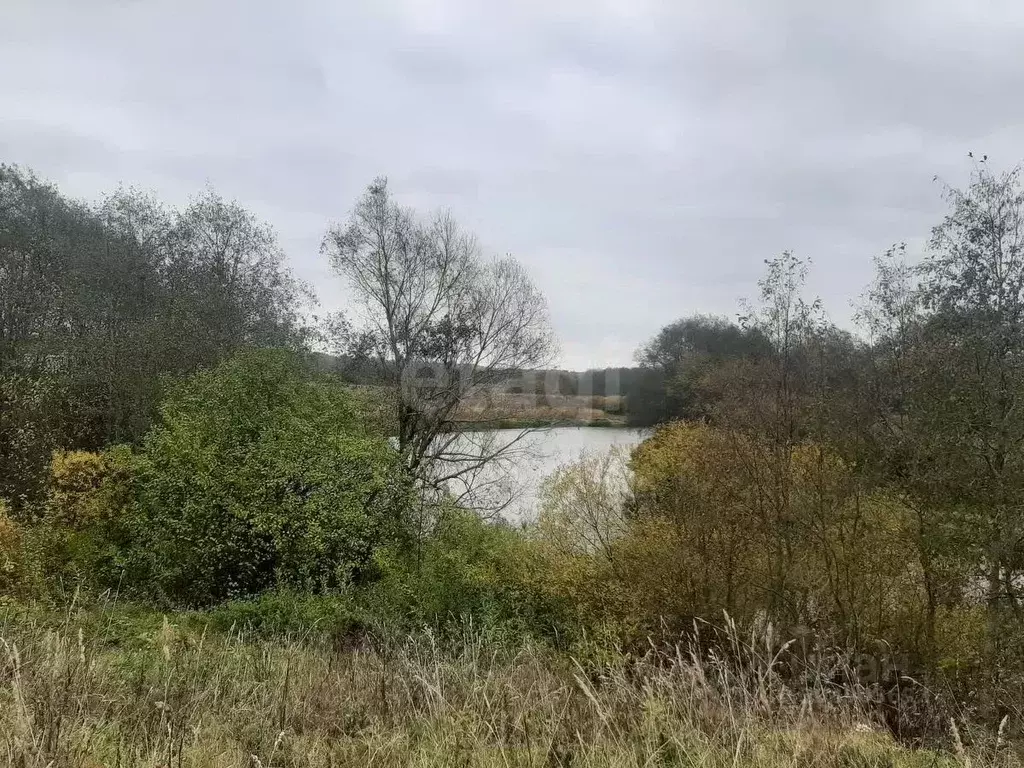 Участок в Ленинградская область, Киришский район, Пчевское с/пос, д. ... - Фото 1