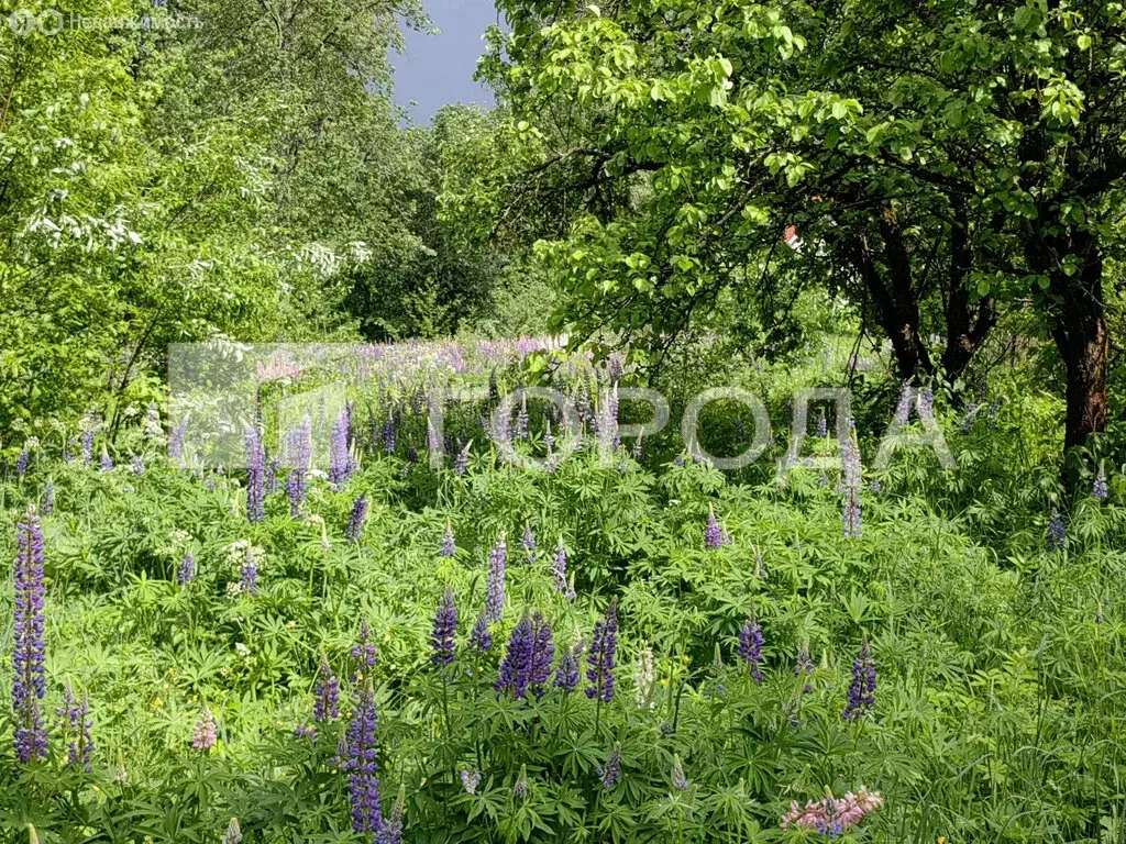 Участок в Московская область, городской округ Пушкинский, рабочий ... - Фото 0