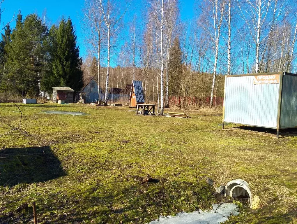 Участок в Тверская область, Конаковский муниципальный округ, Радуга ... - Фото 1