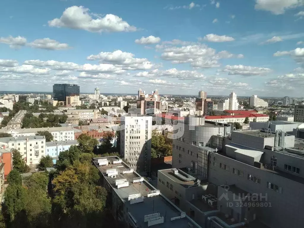 4-к кв. Воронежская область, Воронеж ул. Куколкина, 11 (232.0 м) - Фото 1