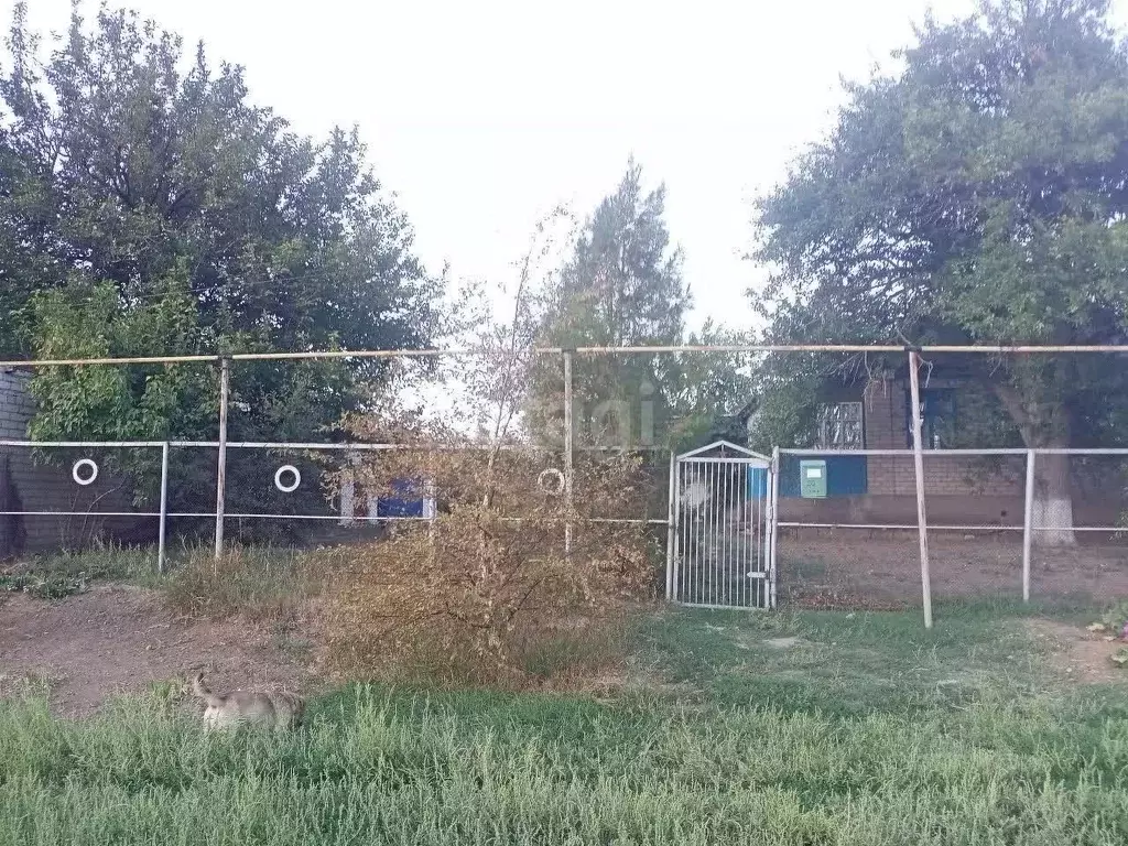 Дом в Волгоградская область, Чернышковский рп пер. Школьный, 30 (48 м) - Фото 1