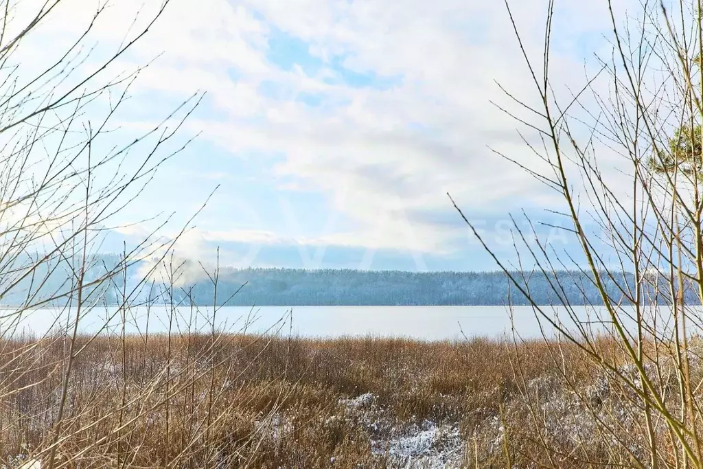 Участок в Ленинградская область, Приозерский район, Красноозерное ... - Фото 1