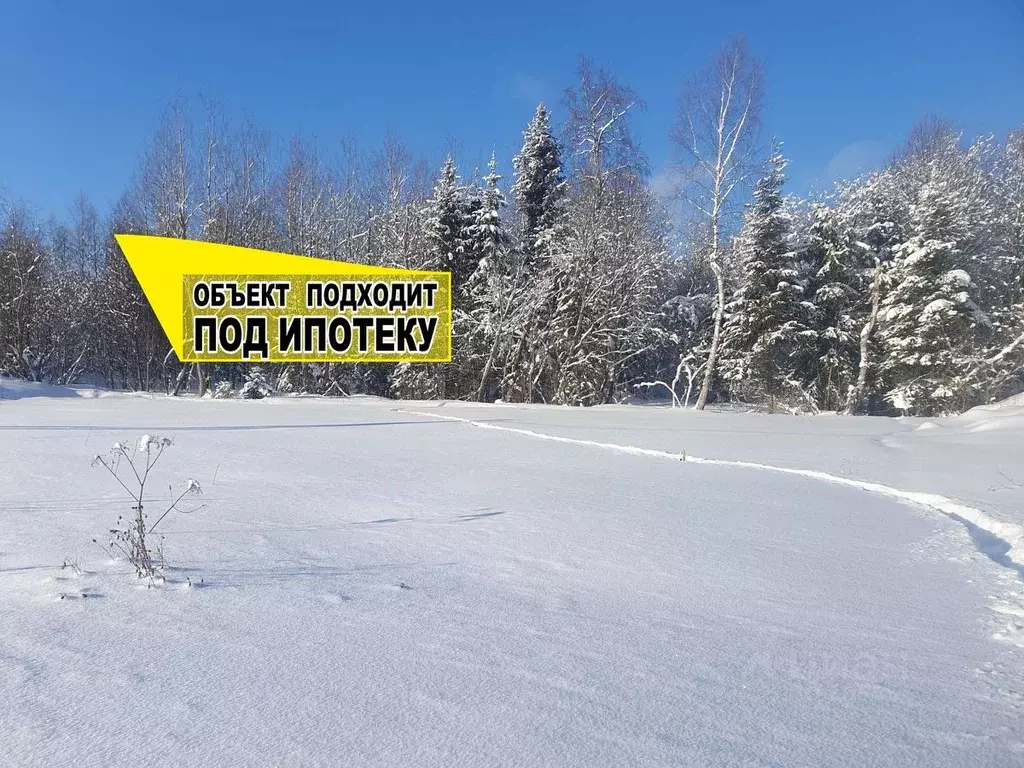 Участок в Московская область, Клин городской округ, д. Степаньково 6 ... - Фото 0