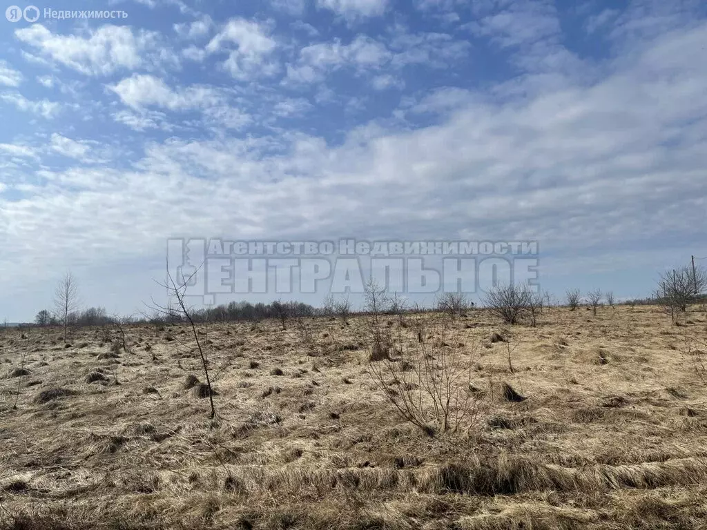 Участок в Смоленский муниципальный округ, деревня Старые Батеки (15 м) - Фото 2