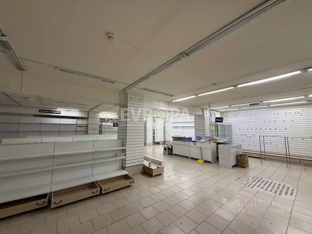 Торговая площадь в Ульяновская область, Ульяновск ул. Марата, 41 (240 ... - Фото 2