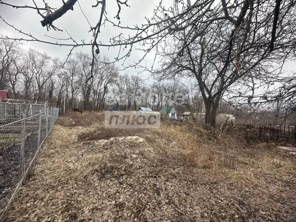 Участок в Ульяновская область, Ульяновск Центральная Радуга СНТ, 161 ... - Фото 0