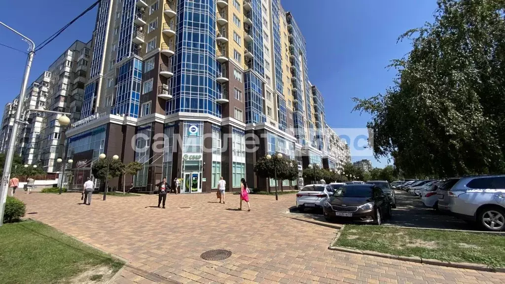 Торговая площадь в Белгородская область, Белгород Белгородский просп., ... - Фото 2