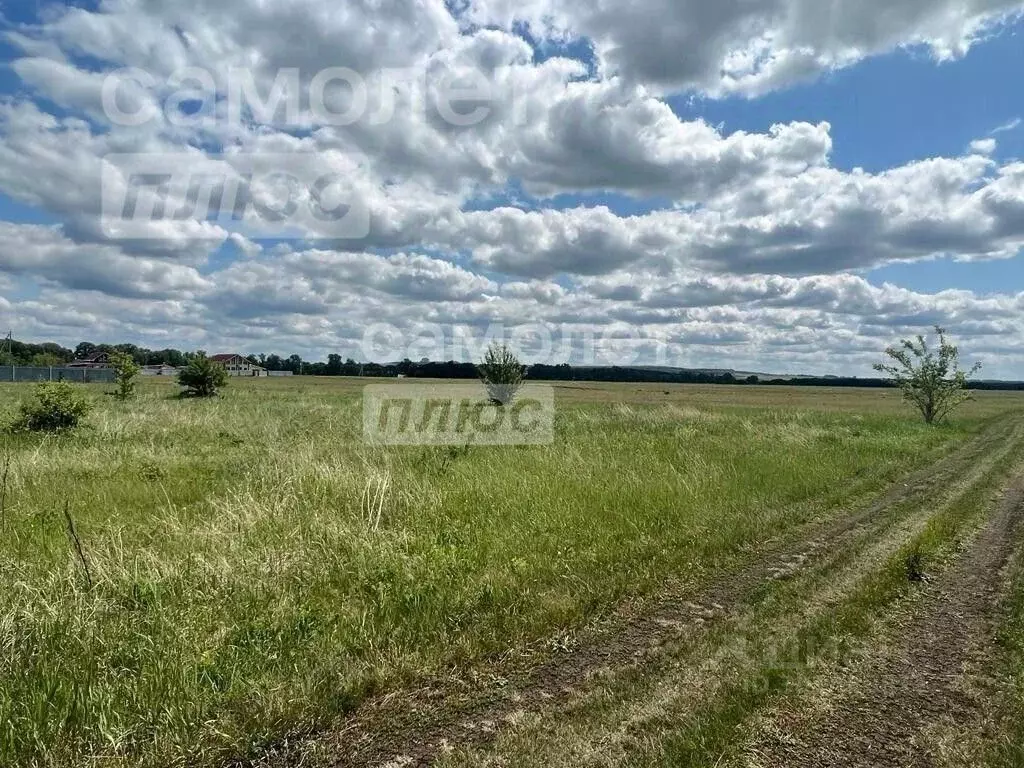 Участок в Башкортостан, Чишминский район, Аровский сельсовет, с. ... - Фото 1