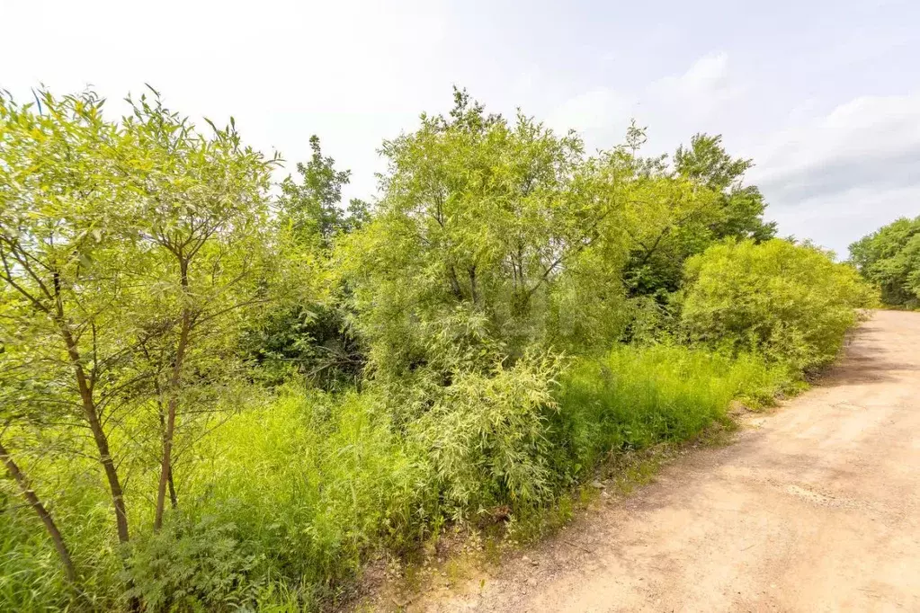 Участок в Еврейская автономная область, Смидовичский район, с. ... - Фото 2