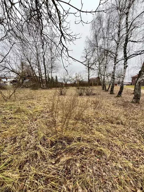 Участок в Нижегородская область, Володарский муниципальный округ, ... - Фото 1