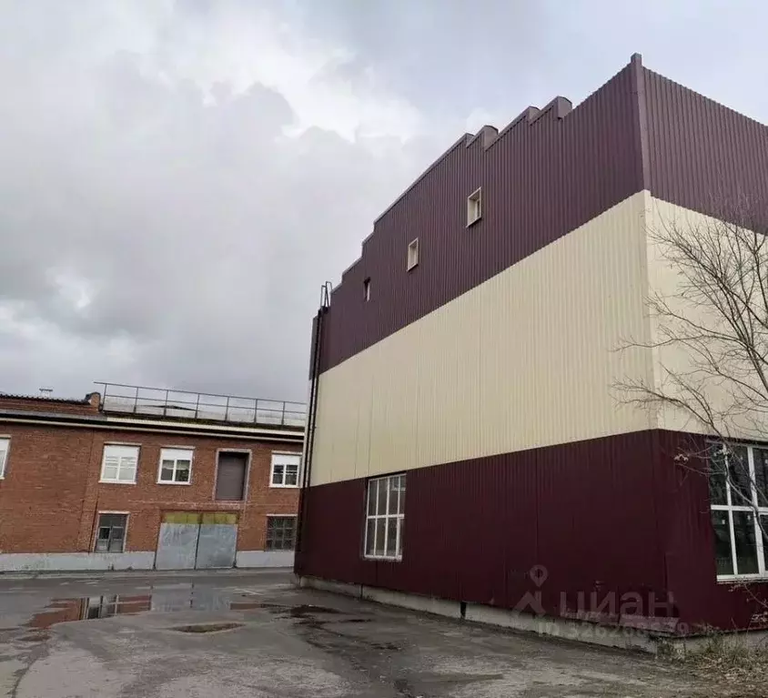 Производственное помещение в Московская область, Пушкино Мамонтовка ... - Фото 1