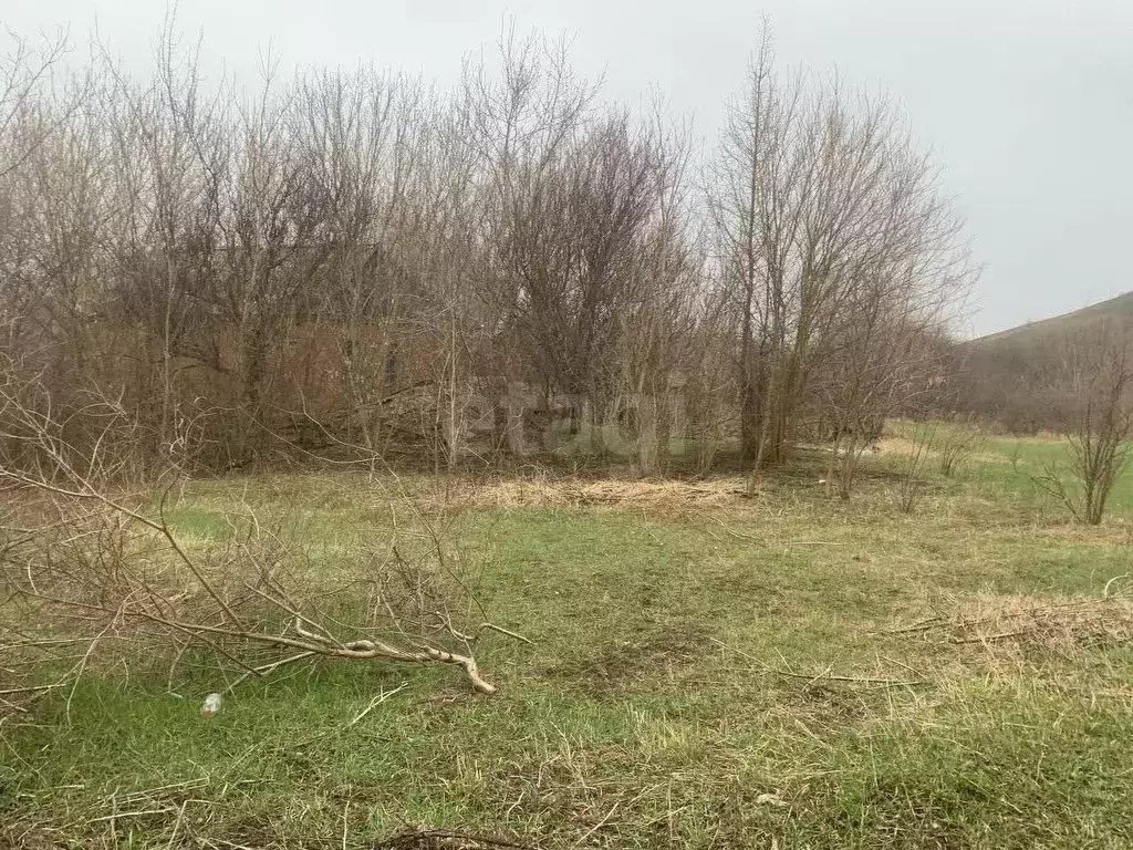 Участок в Ростовская область, Родионово-Несветайское с/пос, Павленков ... - Фото 2