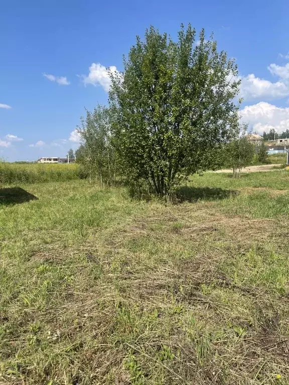 Участок в Московская область, Домодедово городской округ, с. Успенское ... - Фото 1