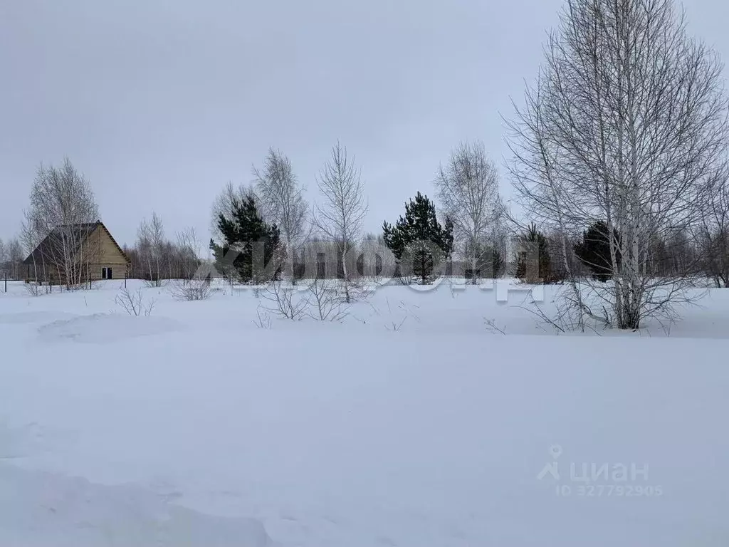 Участок, 8 сот., поселения (ижс) - Фото 1