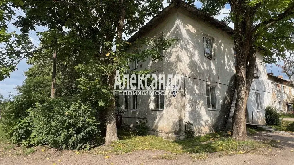 1-к кв. ленинградская область, выборгский район, светогорское . - Фото 0