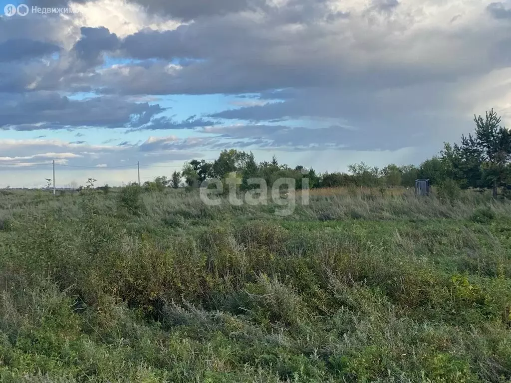 Участок в Амурская область, Благовещенск (55000 м) - Фото 0