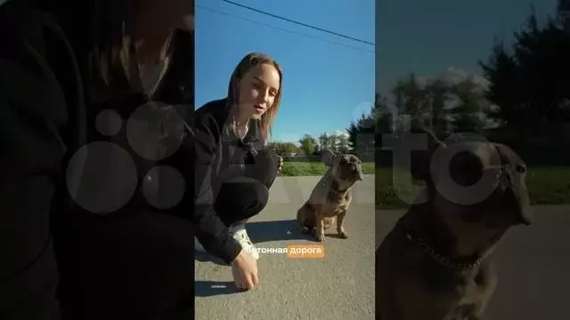 Участок 6 сот. (ИЖС) - Фото 1