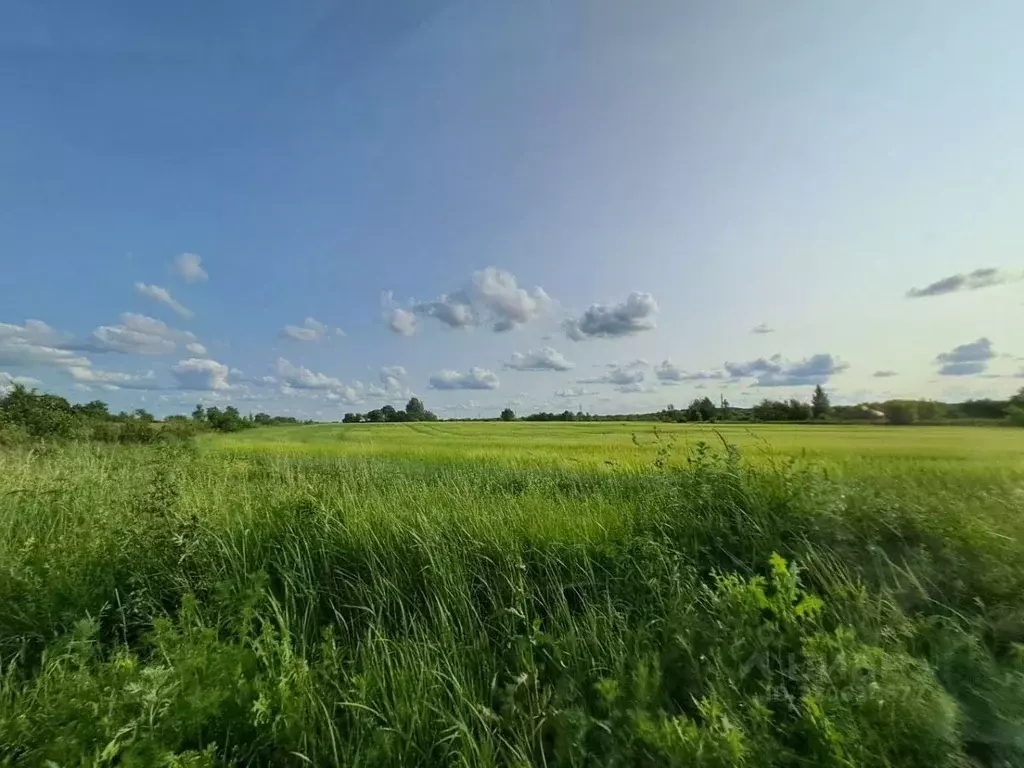 Участок в Курская область, Курский район, Новопоселеновский сельсовет, ... - Фото 0