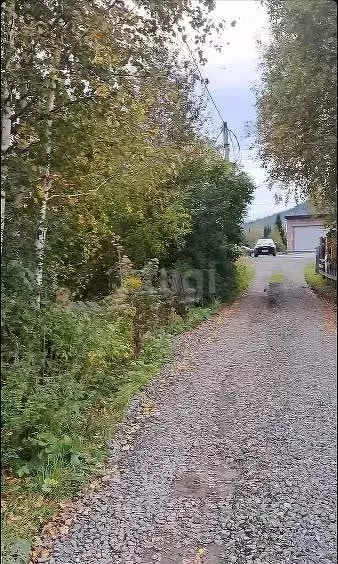 Участок в Кемеровская область, Таштагольский район, Шерегешское ... - Фото 0