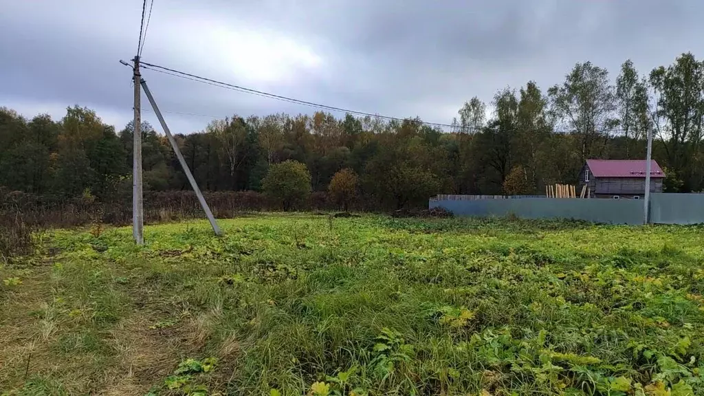 Участок в Московская область, Домодедово городской округ, с. Растуново ... - Фото 0