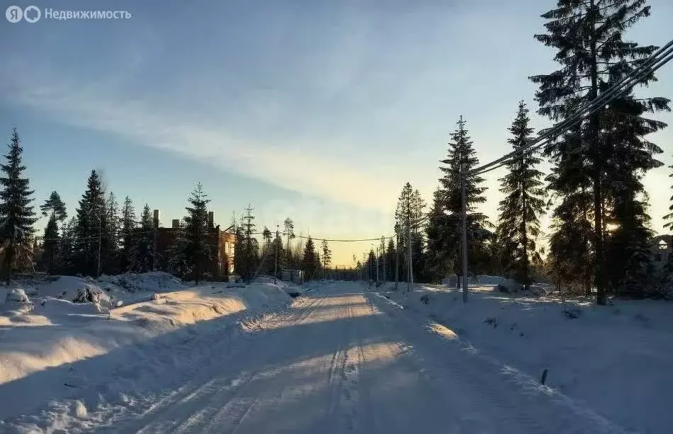 Участок в Рахьинское городское поселение, деревня Коккорево, ... - Фото 1