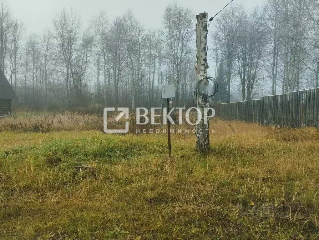 Участок в Костромская область, Костромской район, Самсоновское с/пос, ... - Фото 2
