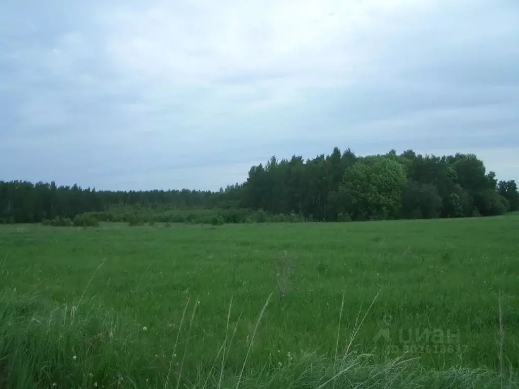 Участок в Калининградская область, Гвардейский муниципальный округ, ... - Фото 1