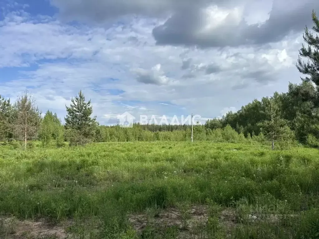 Участок в Нижегородская область, с. Безводное  (14.95 сот.) - Фото 1