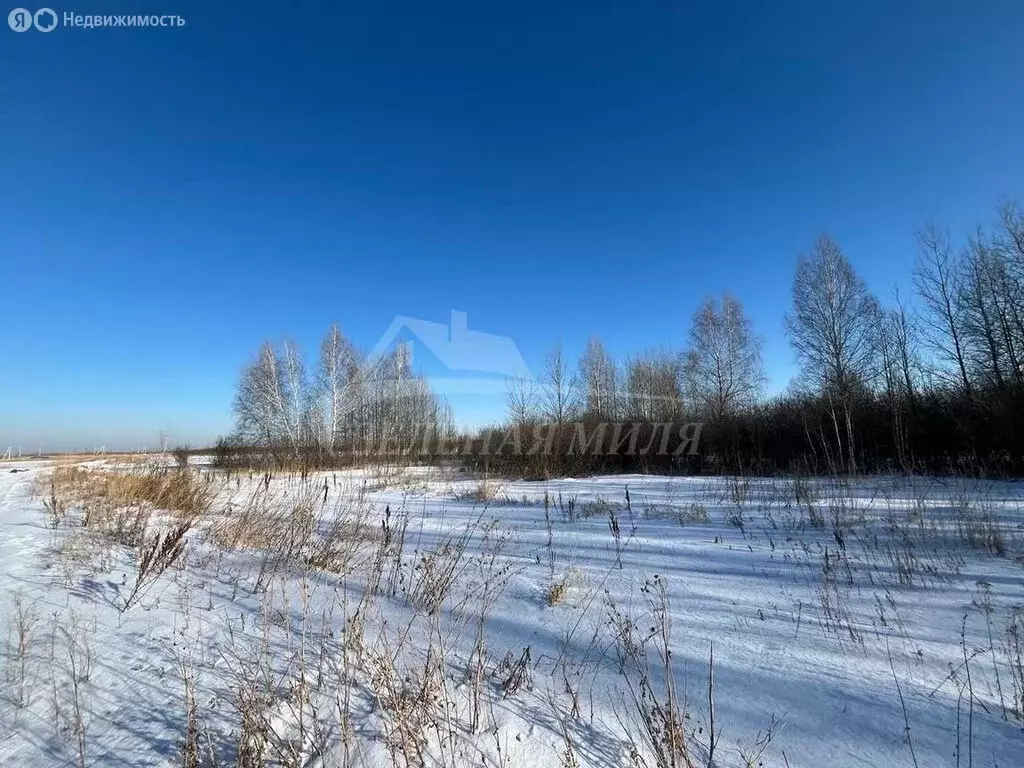 Участок в Тюменский район, село Яр (6 м) - Фото 1