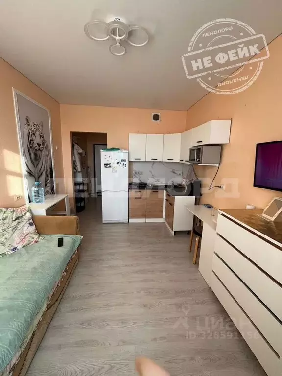 Студия Ростовская область, Ростов-на-Дону ул. Нансена, 83с1 (19.3 м) - Фото 1