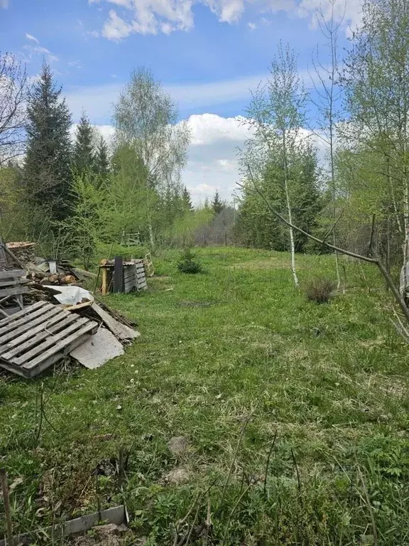 Участок в Московская область, Солнечногорск городской округ, ... - Фото 1