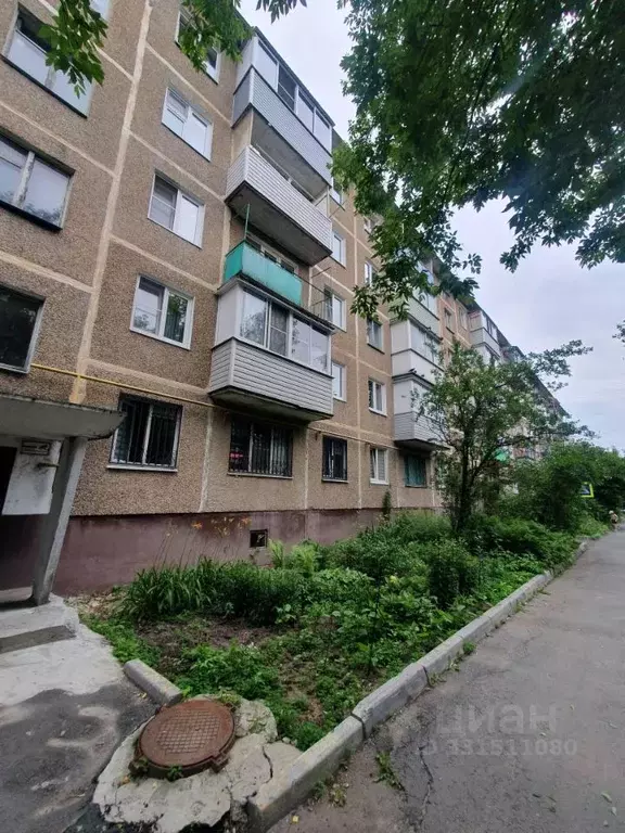 1-к кв. Московская область, Ногинск Богородский городской округ, ул. ... - Фото 1