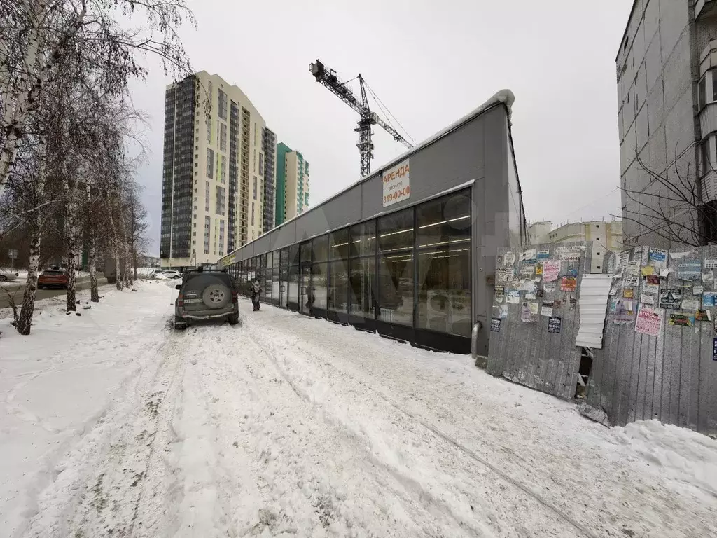 Аренда на потоке Чижика, ул. Есенина, 29.7 м - Фото 1