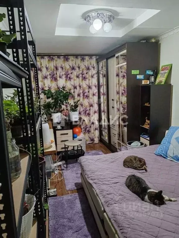 Дом в Владимирская область, Вязники ул. Степана Разина, 26 (74 м) - Фото 2