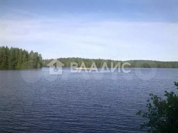 Участок 2,13 га (личное подсобное хозяйство (лпх)) - Фото 0