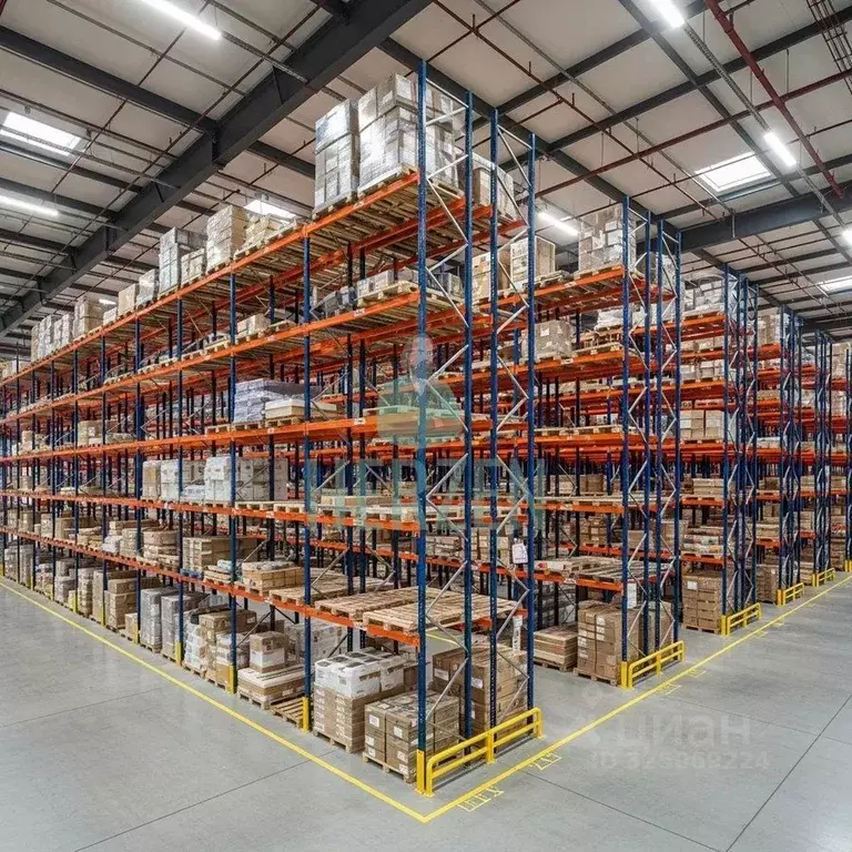 Склад в Московская область, Пушкино ул. Пушкинское поле, вл10с3 (5000 ... - Фото 2