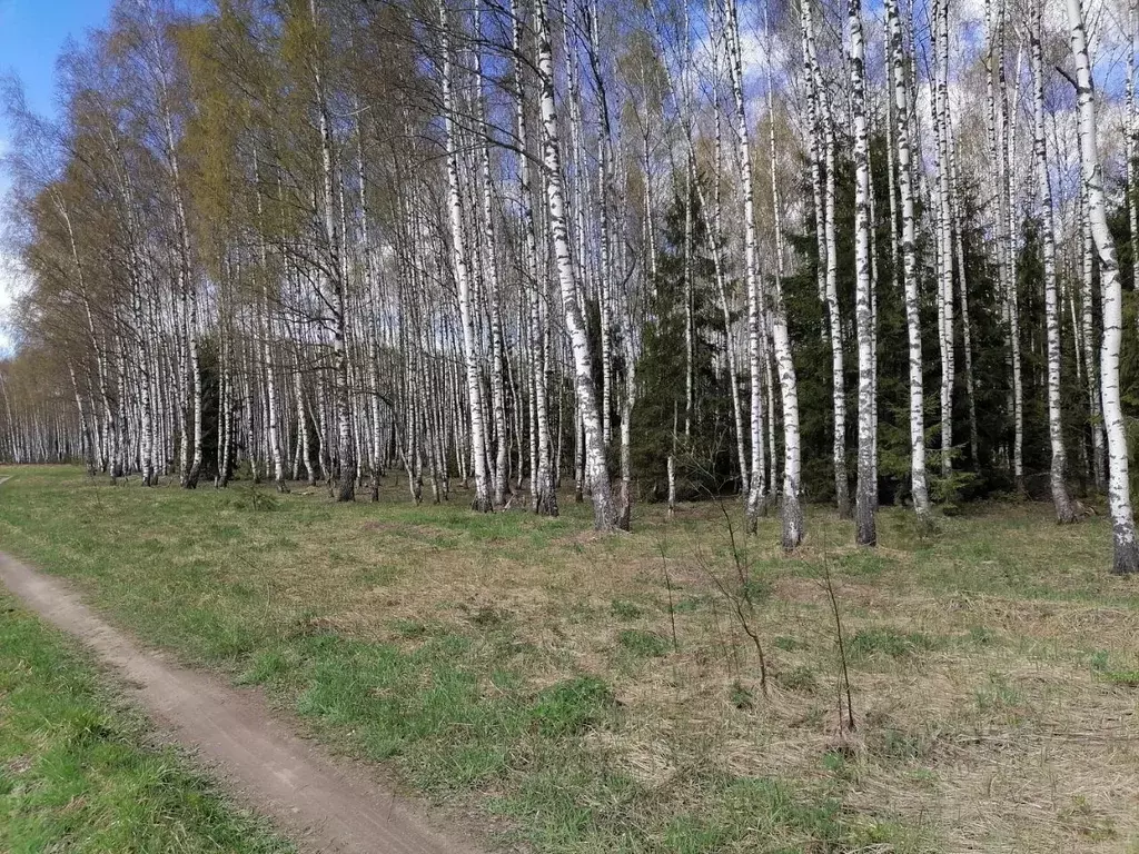 Участок в Владимирская область, Киржачский муниципальный округ, д. ... - Фото 2