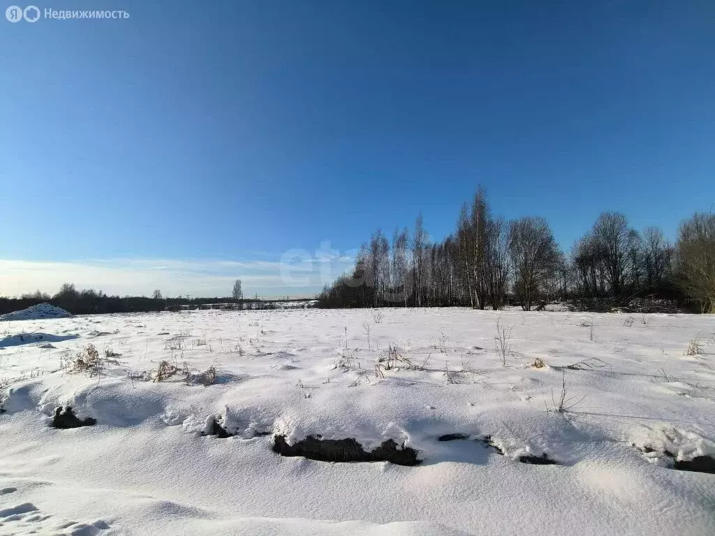 Участок в Заневское городское поселение, коттеджный посёлок Терра Парк ... - Фото 1