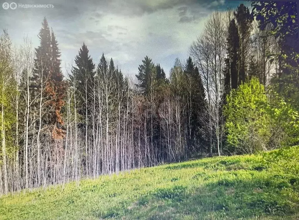 Участок в Пермский край, Кунгурский муниципальный округ, село ... - Фото 0