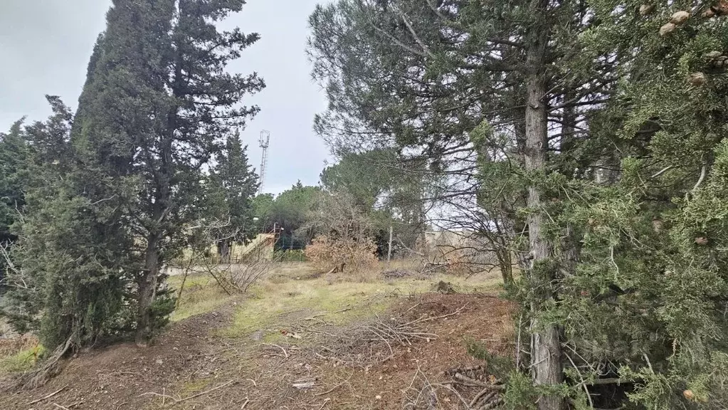 Участок в Крым, Алушта муниципальный округ, пос. Семидворье  (10.0 ... - Фото 2