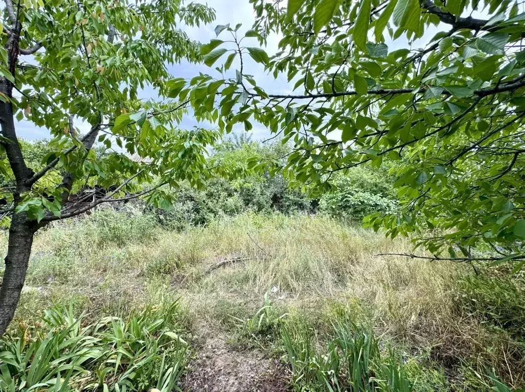 Дом в Волгоградская область, Волгоград Латошинская ул. (17 м) - Фото 2