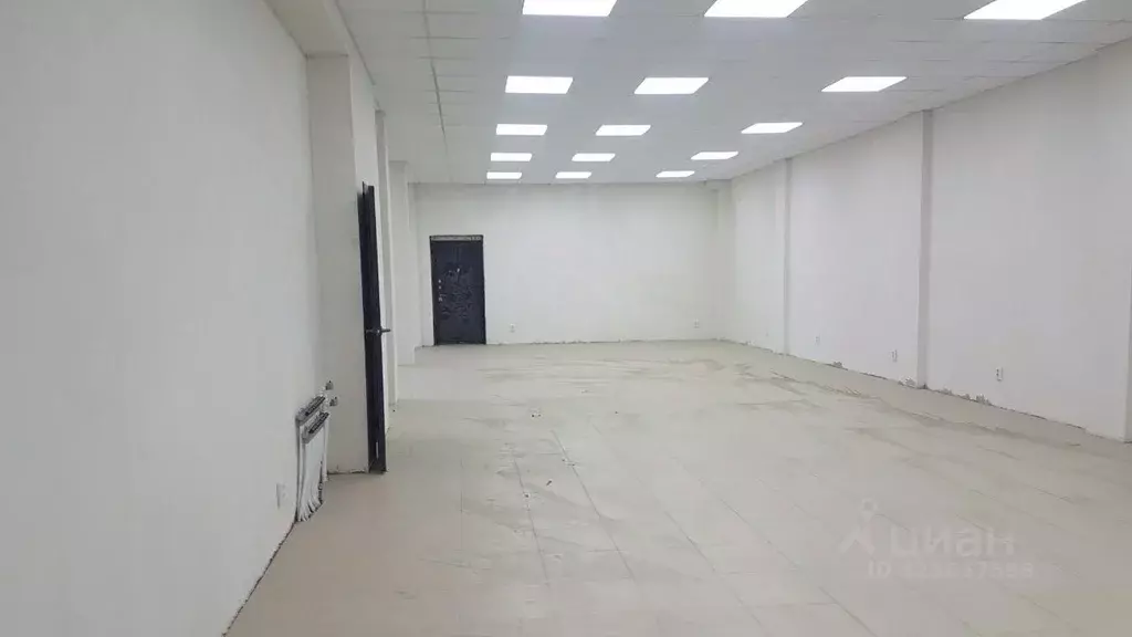 Офис в Ставропольский край, Ставрополь ул. Мира, 136 (154 м) - Фото 2